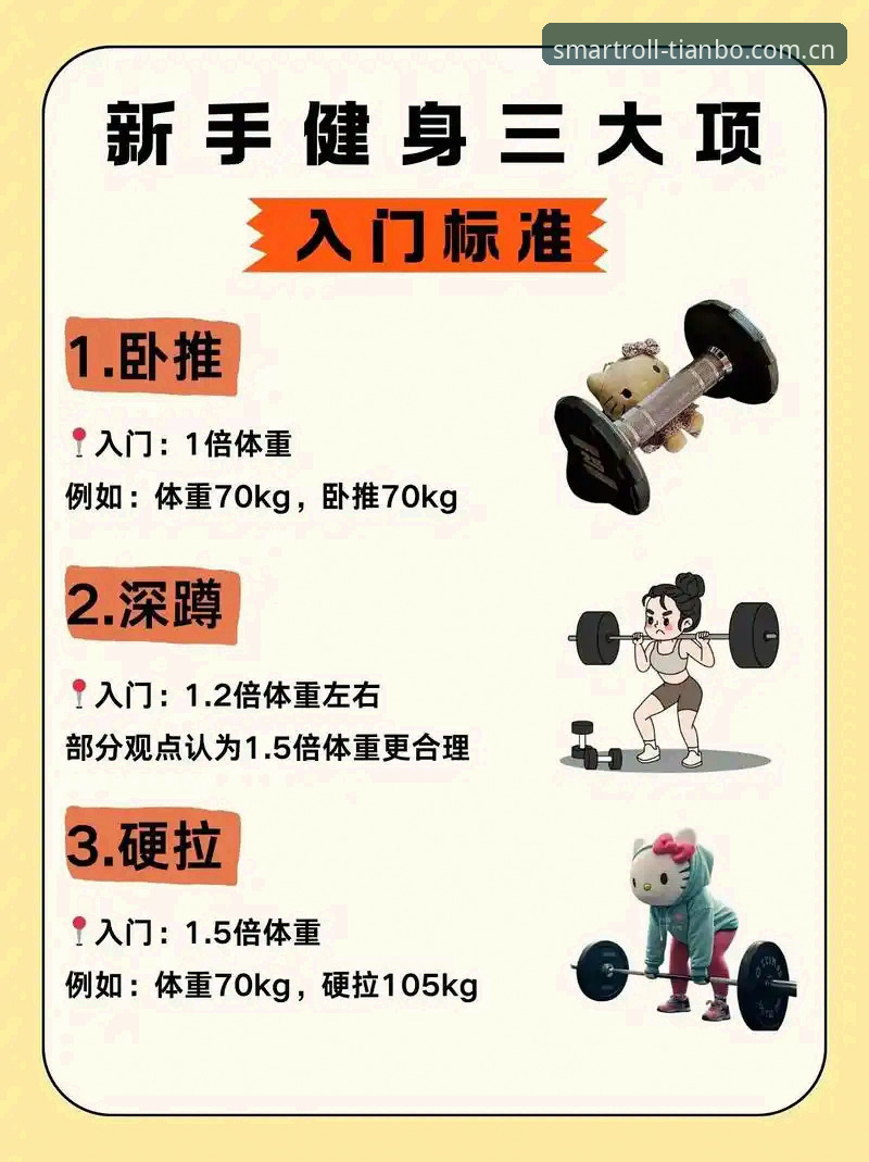 天博体育平台新手实用指南：从入门到顺畅操作的必备知识